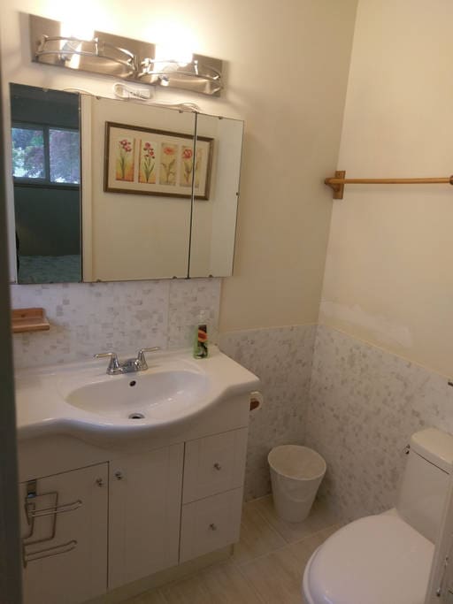 Private Toilet / Sink for "A" Room.