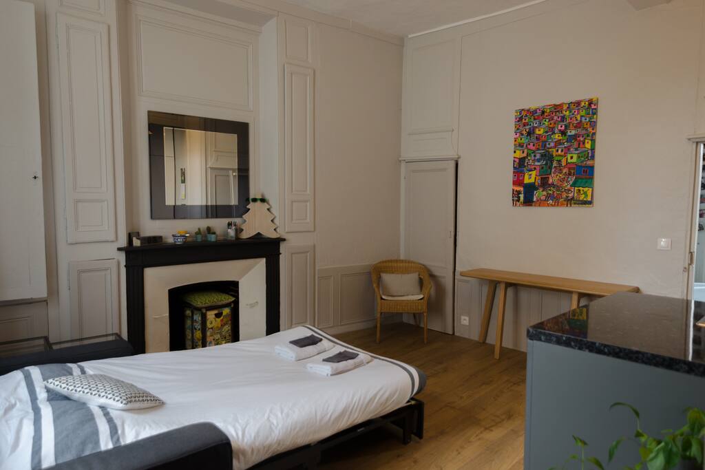 Salon avec le canapé-lit ouvert