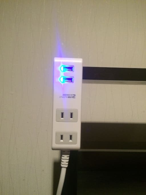 Electric Plug and USB Port