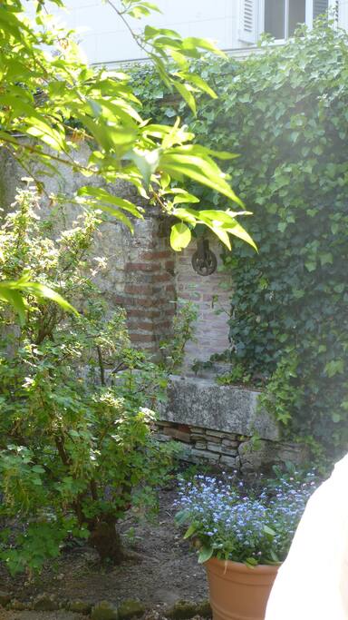 Jardin d'Elise