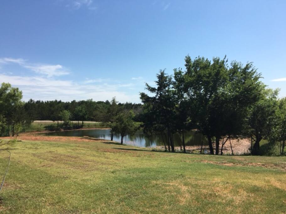 Pond