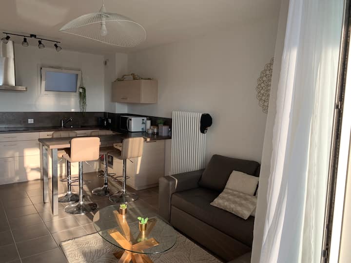 Appartement Ajaccio Proche De L’aéroport - Ajaccio