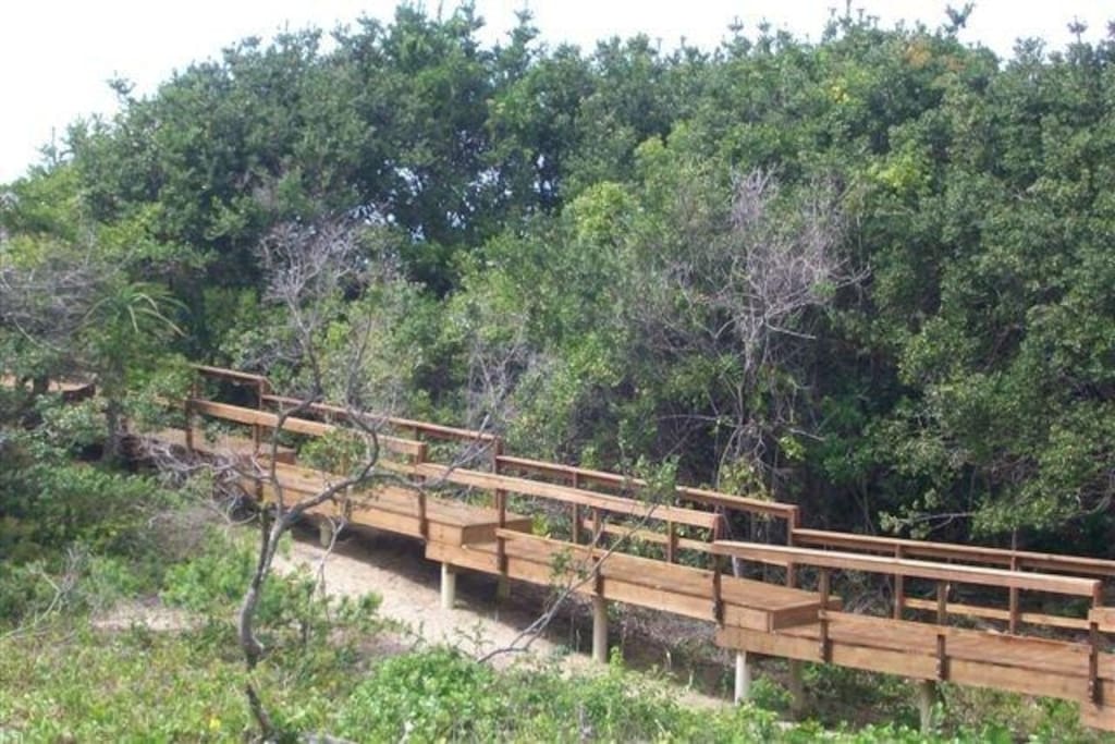 The rustic wooden bridge that winds through a small indigenous forest to the beach