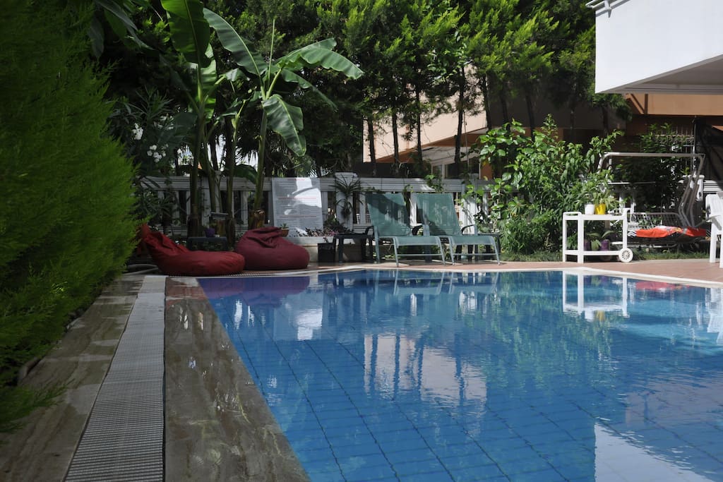 Garden and swimming pool
