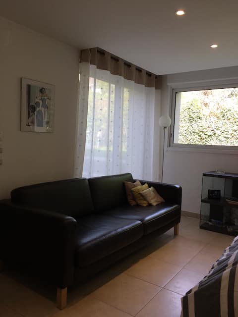 Airbnb performant: Strasbourg 67000; 34 m2 in the heart of the European district à Strasbourg