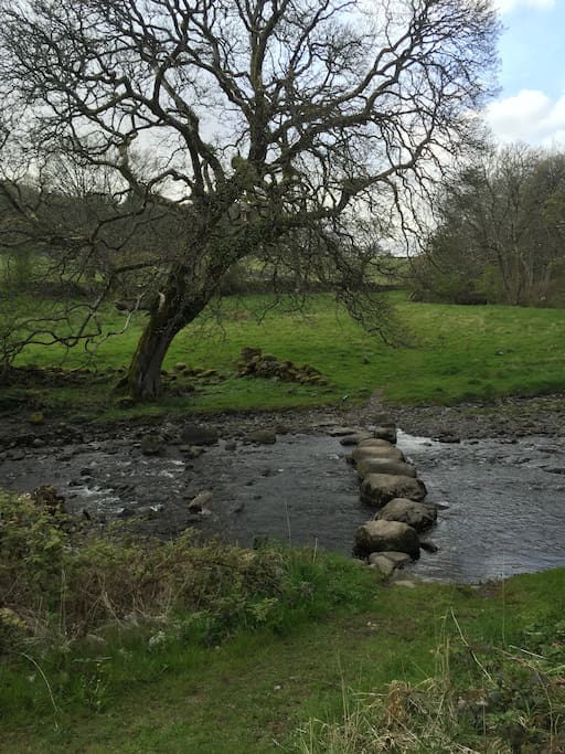 Black Beck - stepping stones by the farmhouse