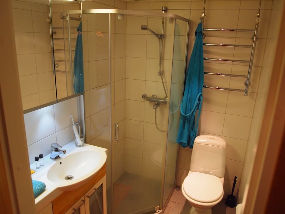 Lavatory with nessescities (soap and shampoo included).