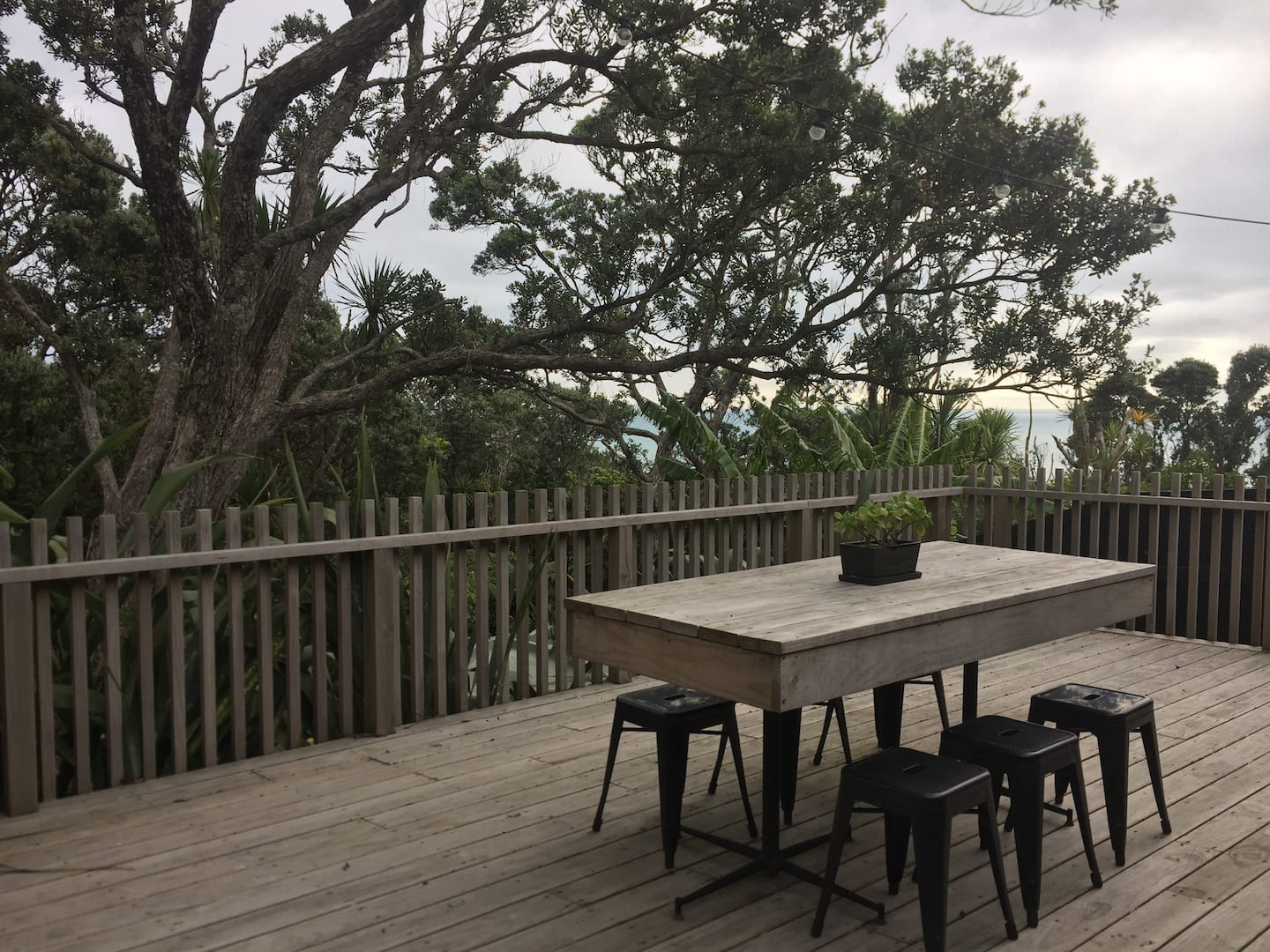 Muriwai Cedar Bach 1