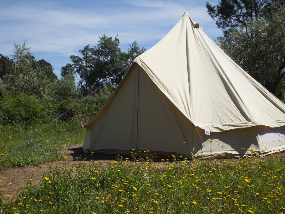 Tenda de Carvalho (3)