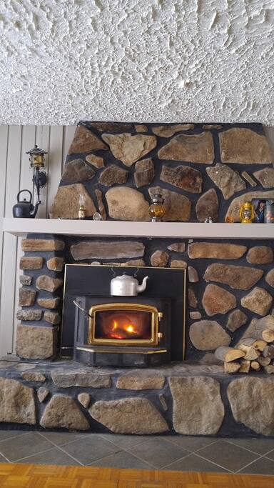 Foyer du salon - Fire place