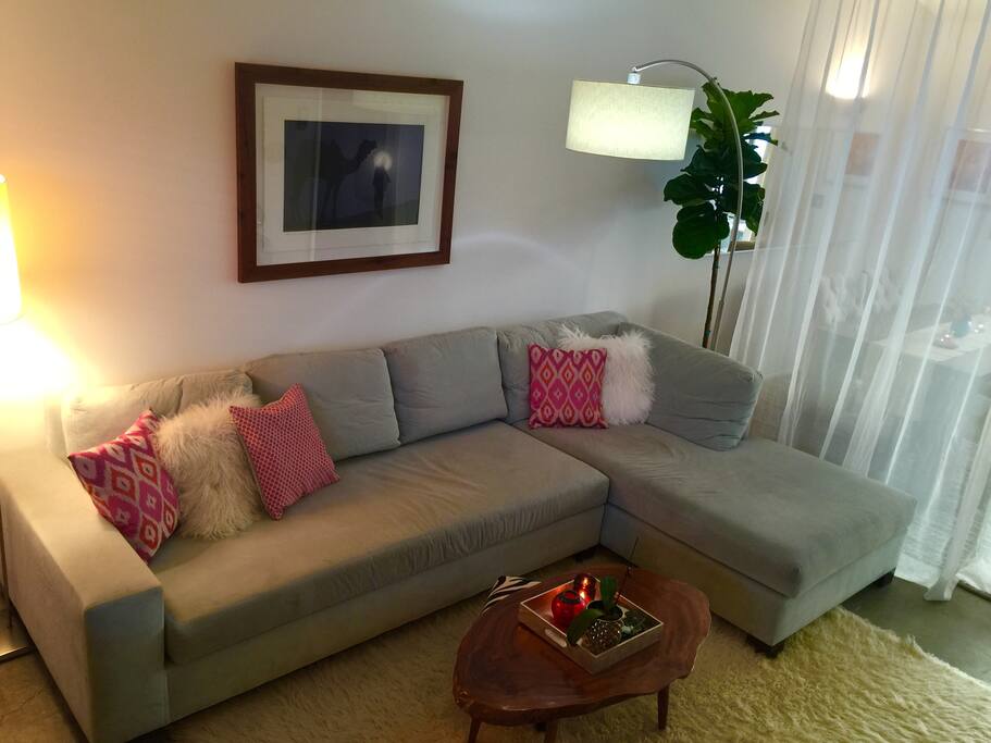 Living room. White shag carpet. Live Fiddle Fig tree.