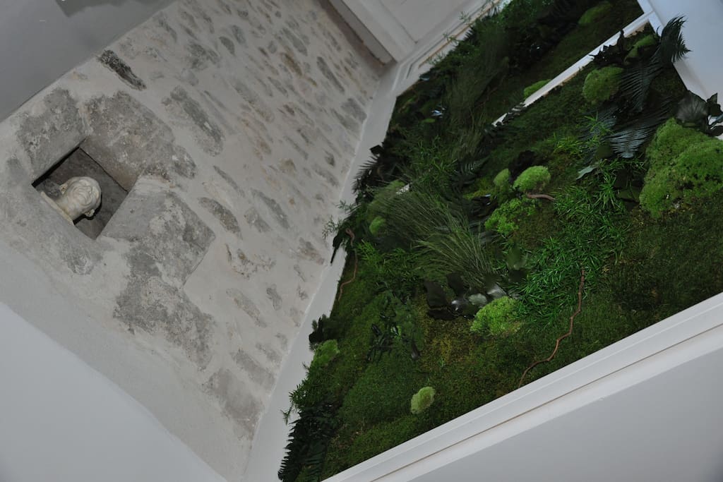 Puit de lumière avec mur végétal