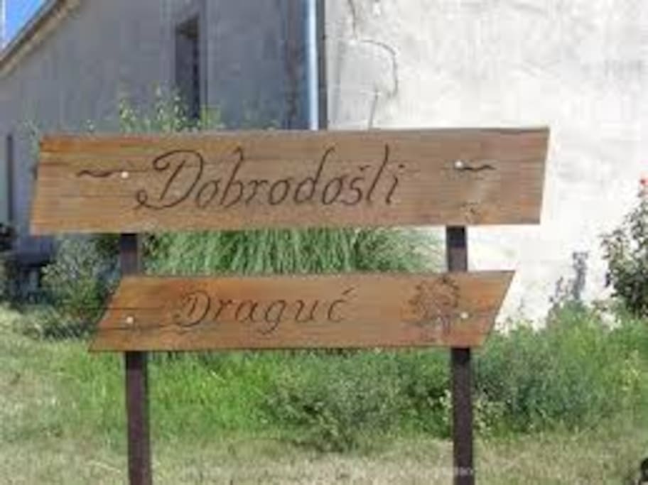 Welcome!