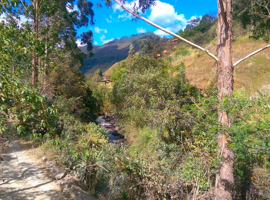 Upvalley view from Riverside cottage - Vilcabamba