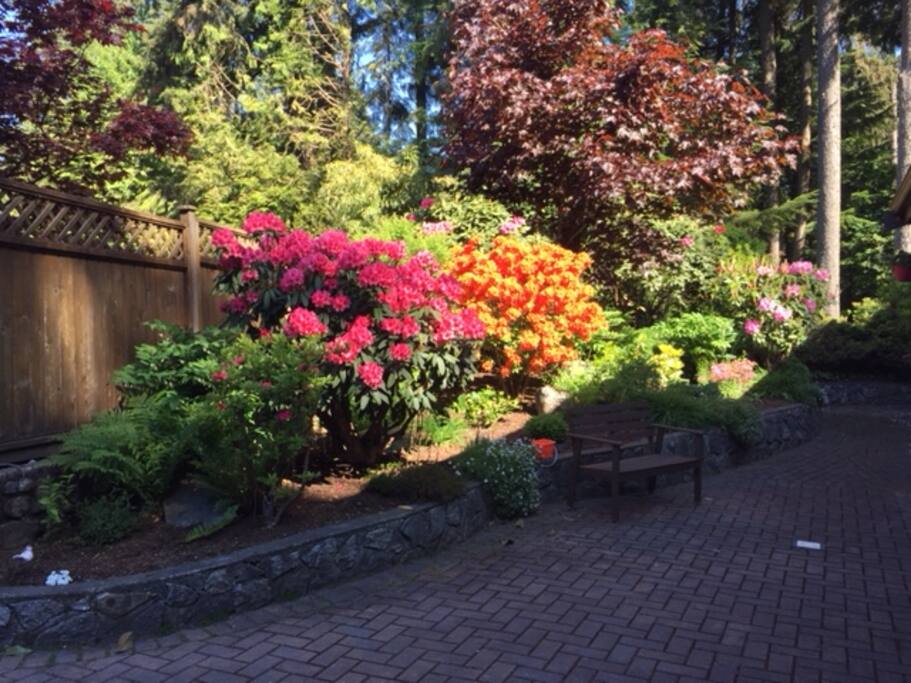 Front Garden