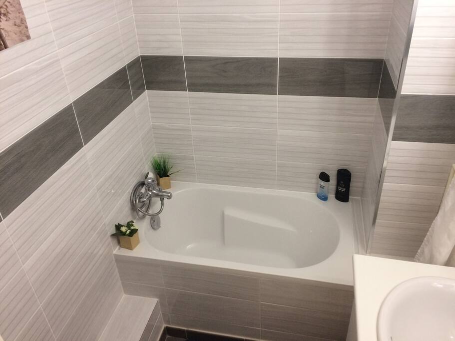 Salle de bain refaite à neuf ( avec sèche cheveux)