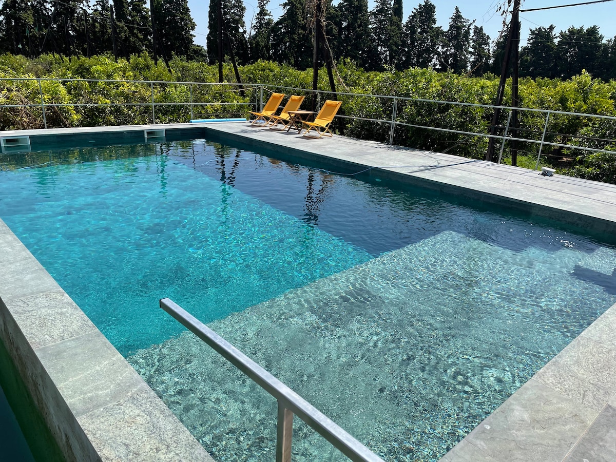 A shared swimming pool features clear blue water and a spacious deck. Two yellow lounge chairs are positioned nearby, offering an area to relax. Lush greenery from the surrounding citrus grove is visible in the background, enhancing the serene outdoor setting.