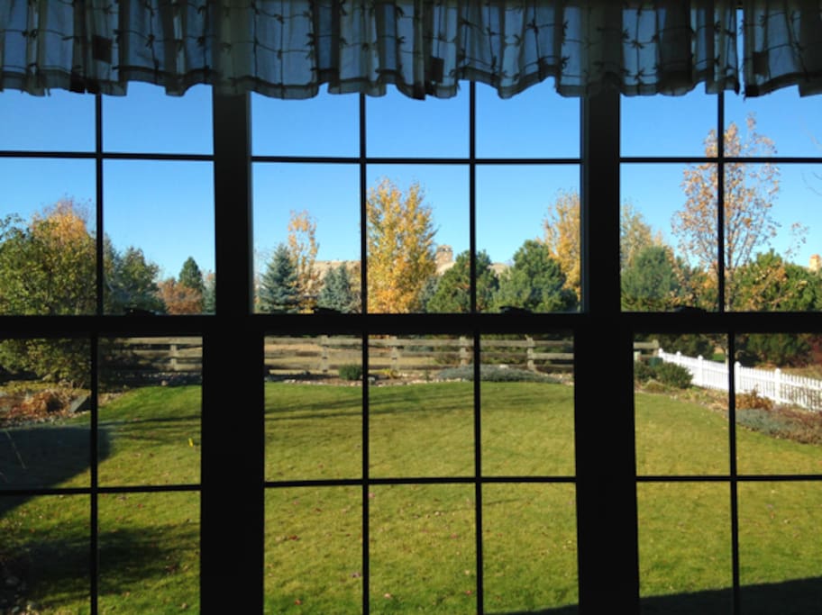 View of the back yard from Master Bedroom window.