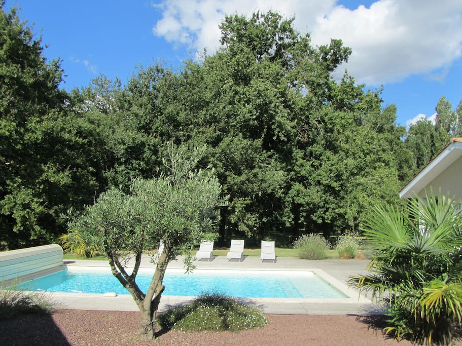 Jardin arboré