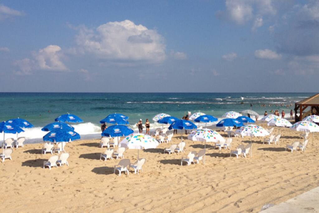 Fantastic beach just 10 min walk through the park