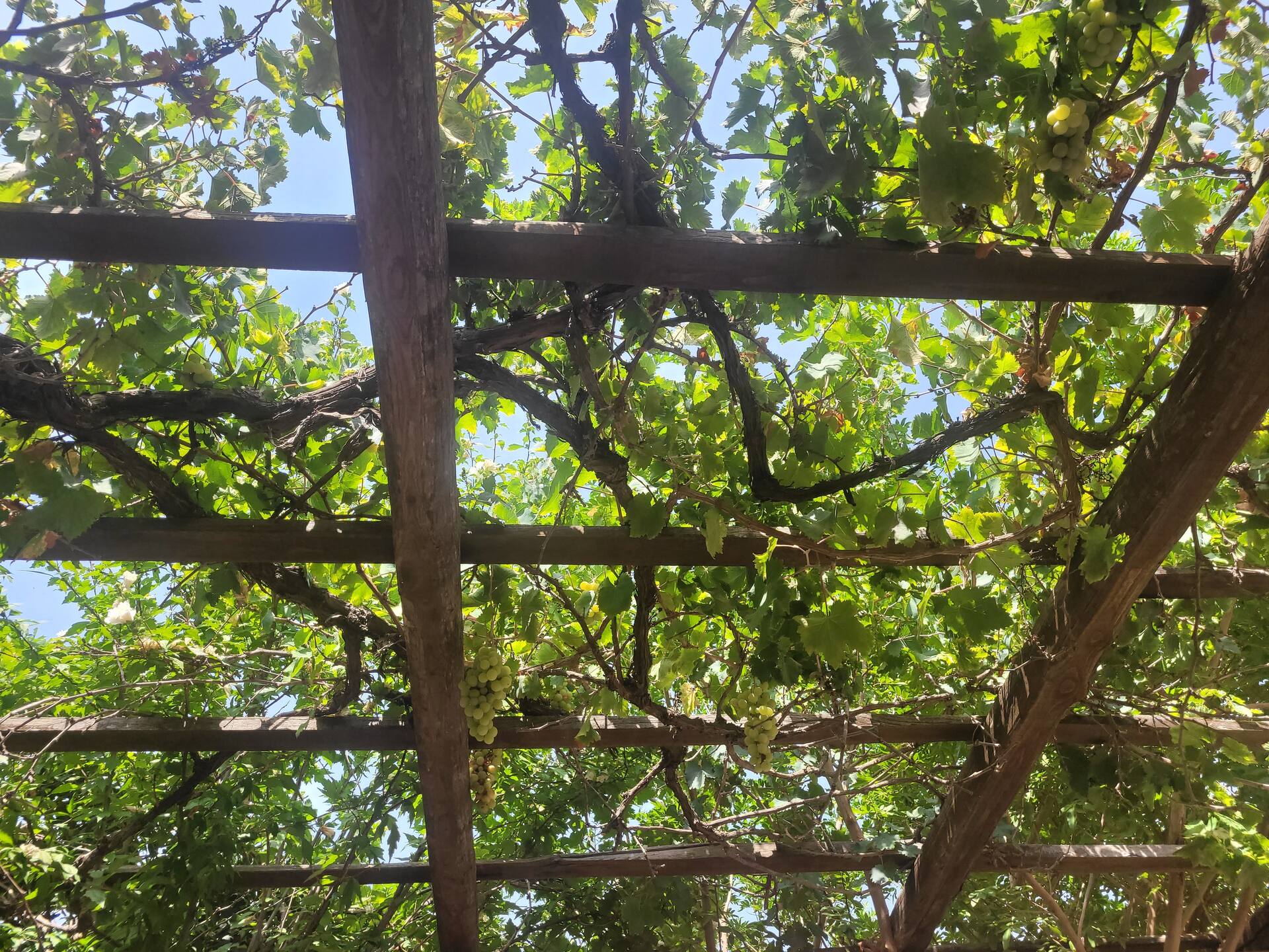 Typical house in a Sicilian village — photo 4
