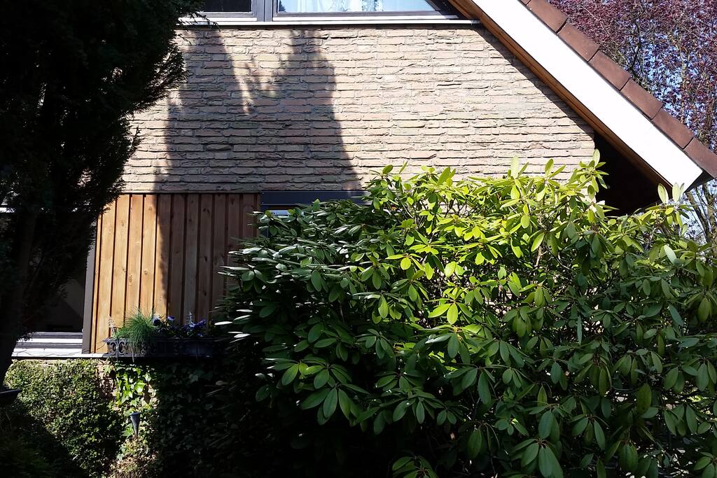 Blick auf die Ferienwohnung
vor dem Haus