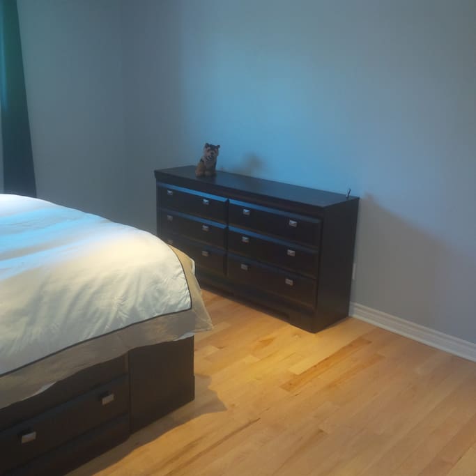 Master Bedroom, Level 1 (2)