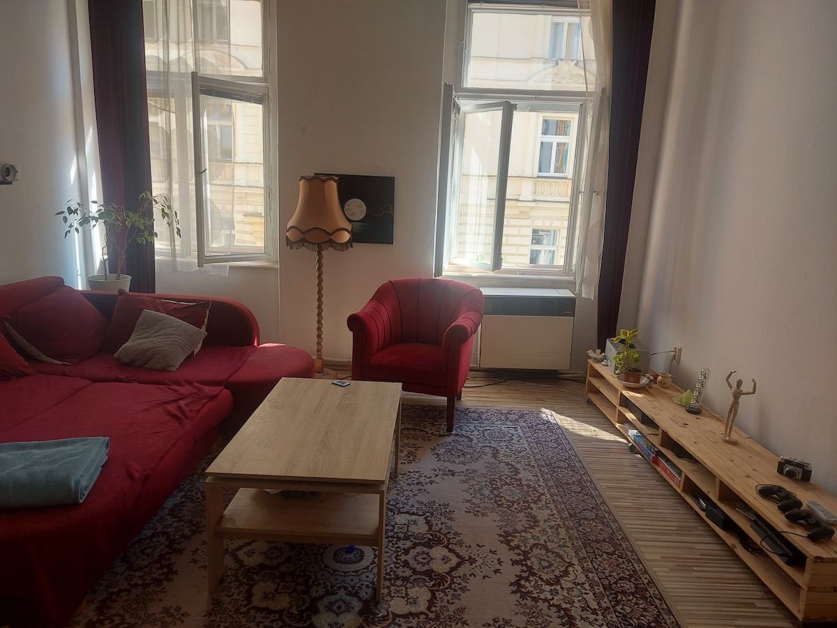 غرفة معيشة كبيرة مفتوحة مع أريكة كبيرة للنوم عليها. الكثير من النباتات والأسقف العالية، مزيج من التصميم الداخلي العتيق والحديث. يوجد جهاز عرض مزود باتصال USB - C لتجربة سينما منزلية ✨