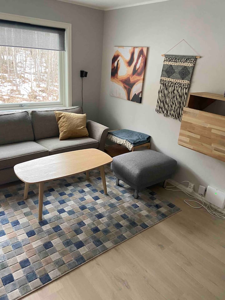 Nice apartment with terrace Condominiums for Rent in Trondheim