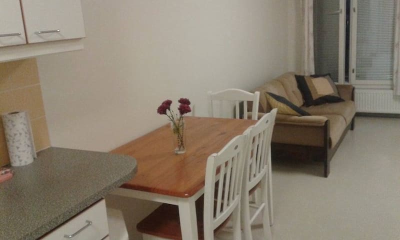 Cosy one room apartment in the heart of the city