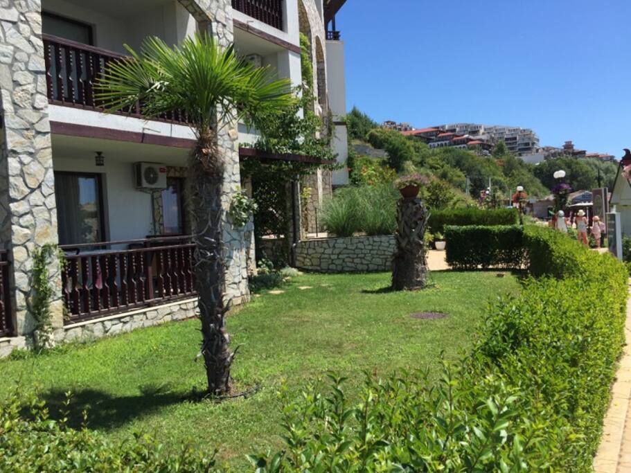 Garden