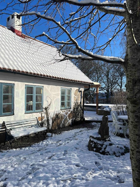 Österlen Xmas : sleeps 8,sauna, beaches, nature