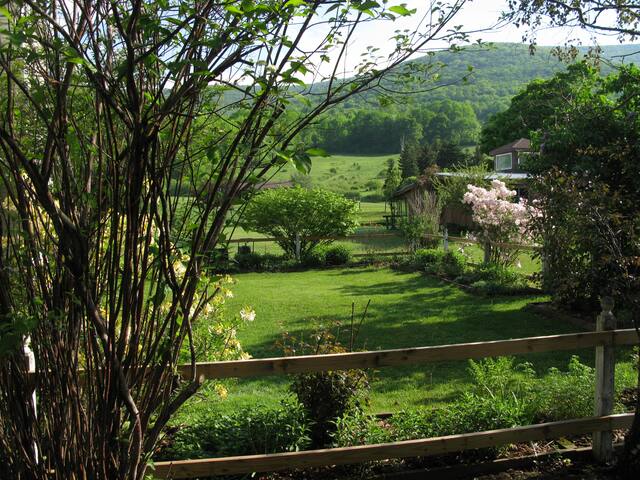 Cozy in the Catskills