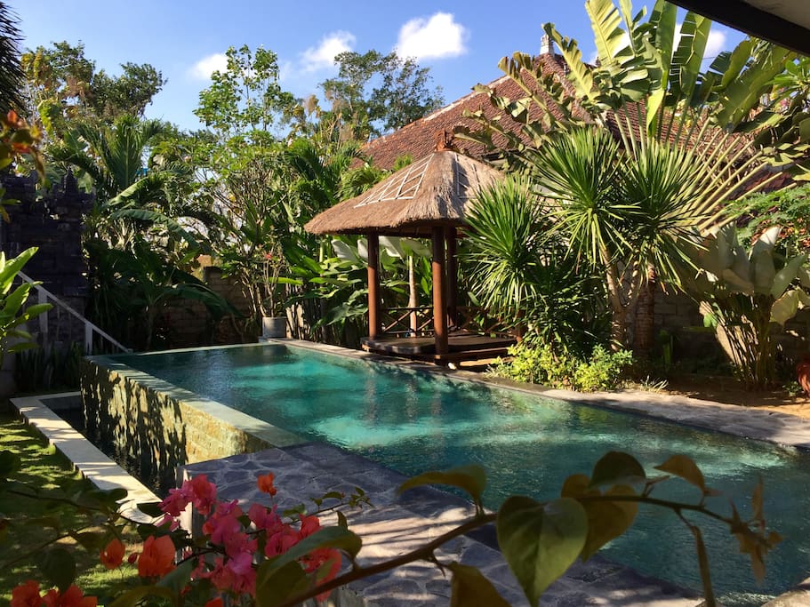 Pool from living room