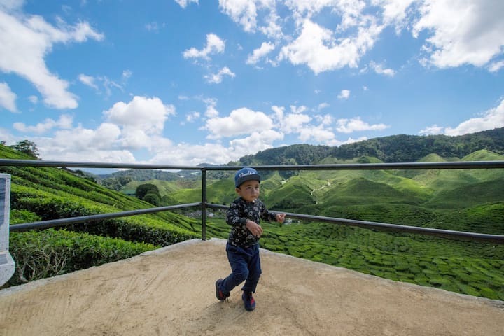 Comfortable Cosy Studio Room in Cameron Highland