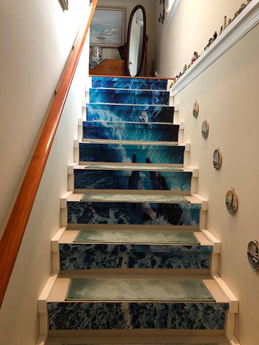 Meet and greet the dolphins going upstairs to your private area.