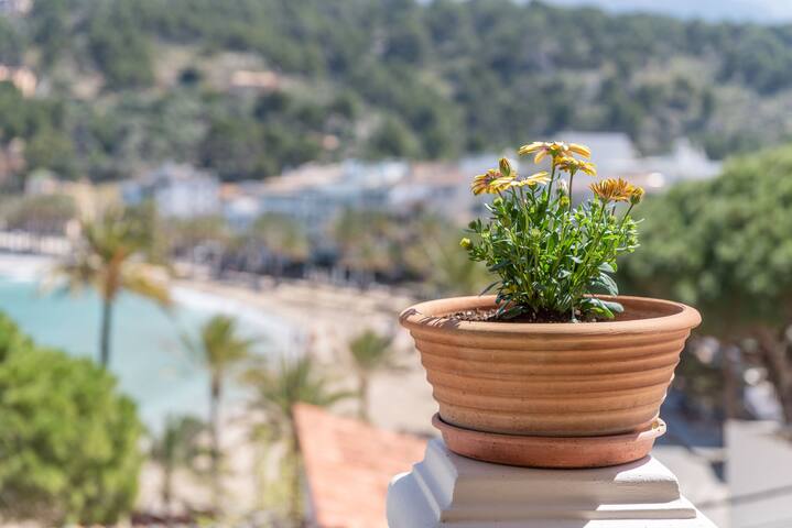 Can Joi gallery image 4