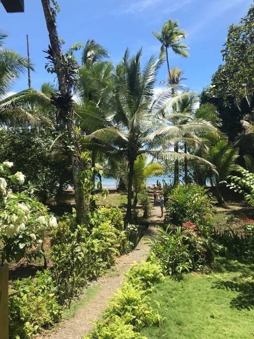 Path from the house to the beach / Camino de la casa a la playa