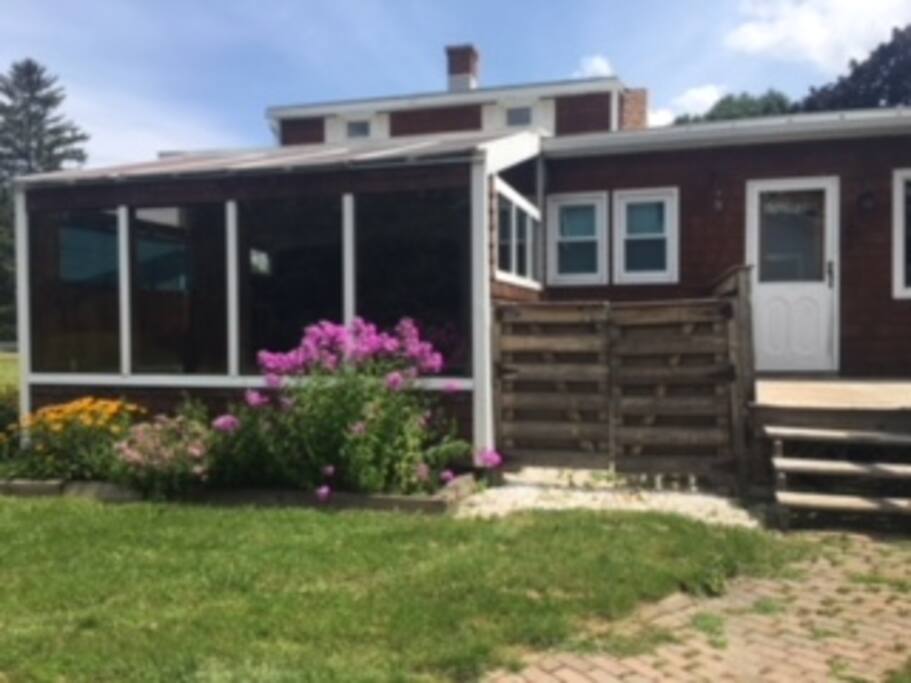 Back yard