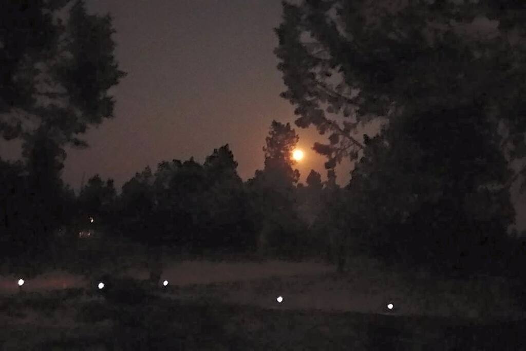 The night Scene