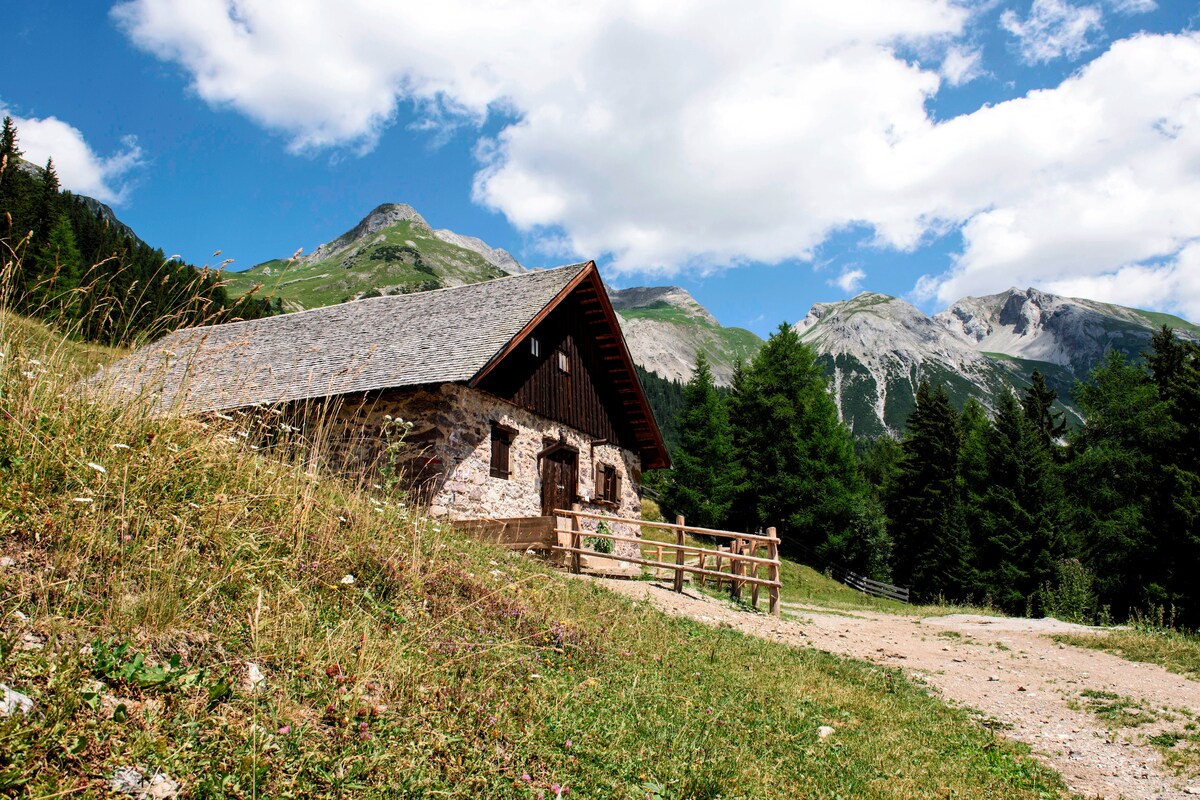 An alpine house is nestled against a backdrop of towering mountains and a blue sky dotted with clouds. Surrounding greenery and a gravel path lead up to the rustic structure, which features a sloped roof and wooden accents.