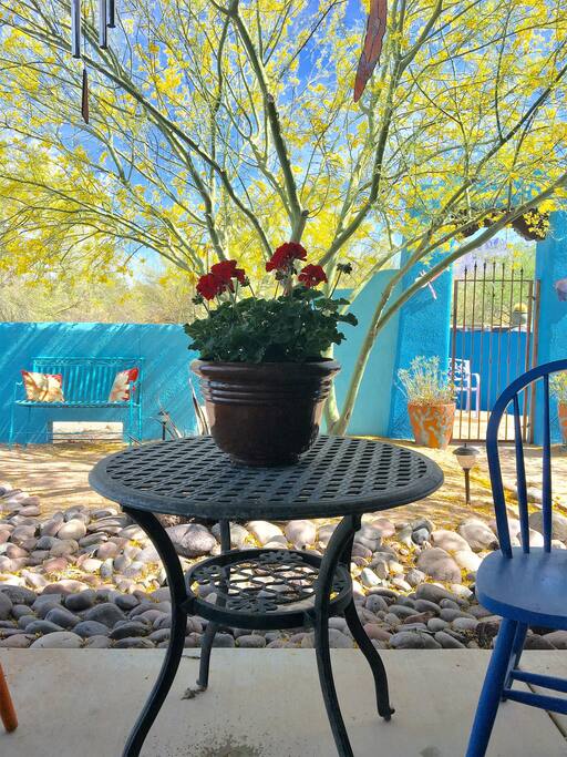 Spring in Tucson