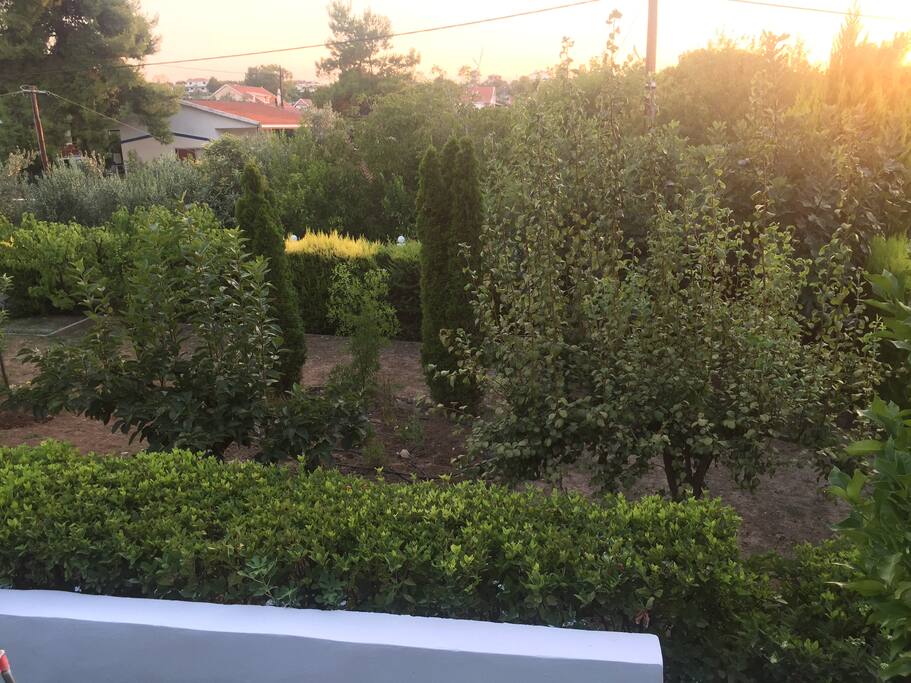 garden-garage entrance