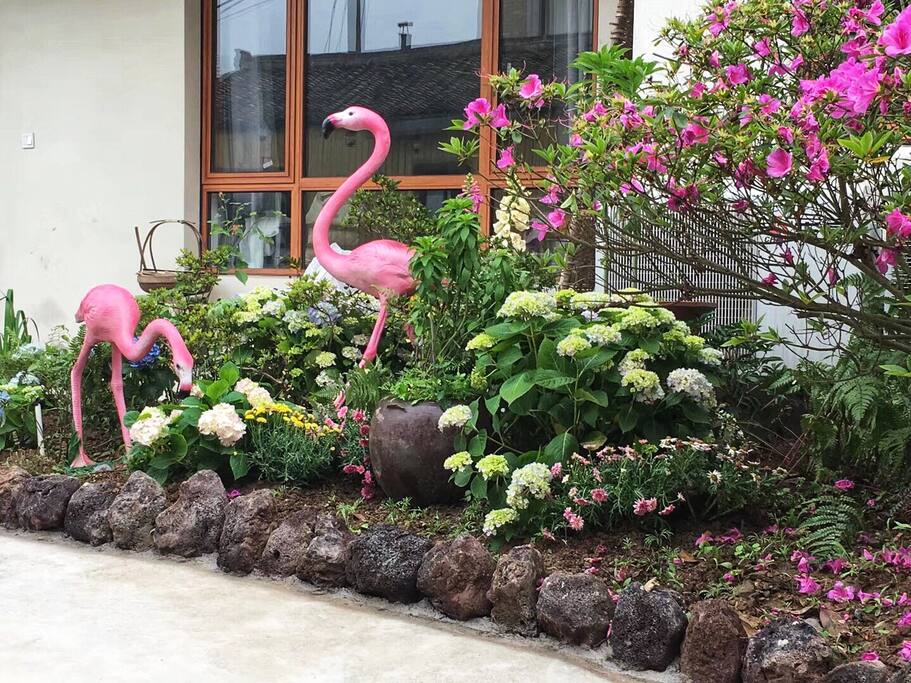美丽的庭院,繁花如你
