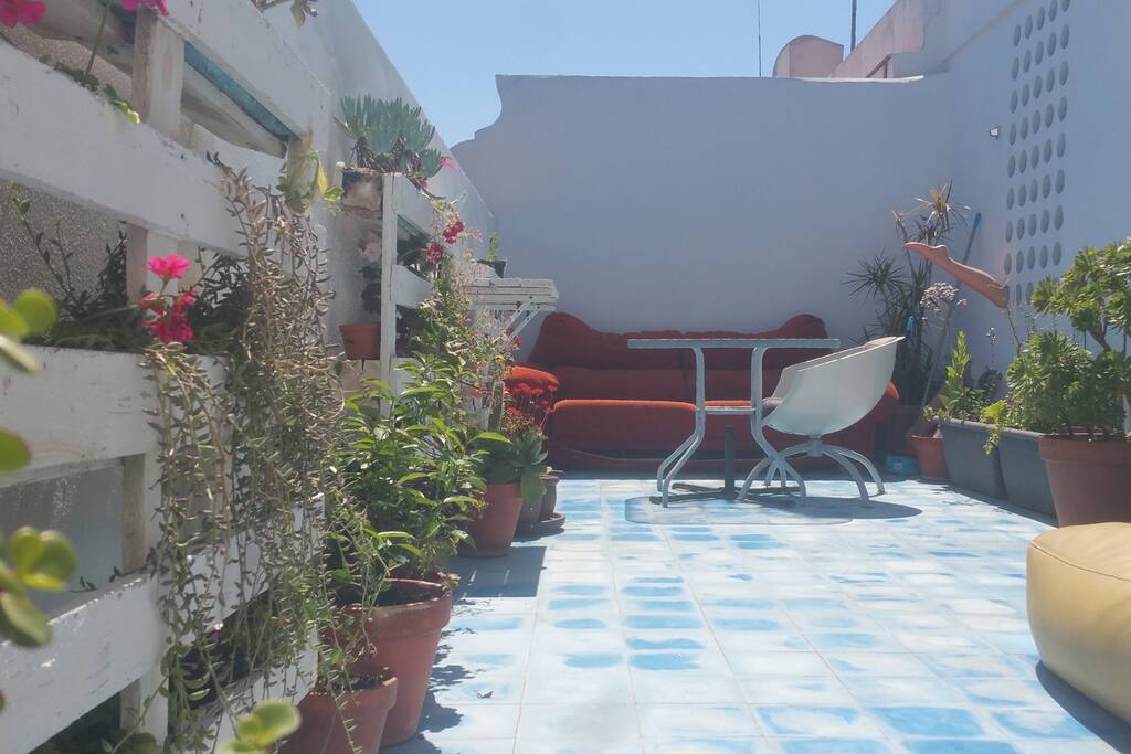 Lower Terrace
Terraza Inferior