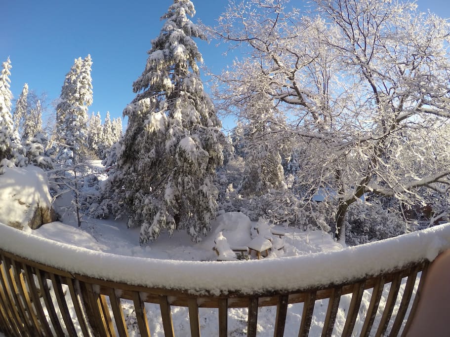 View from the front porch!