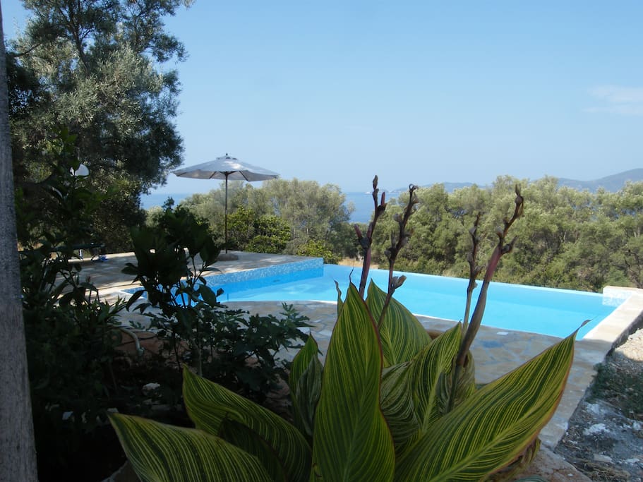 Canna lilies and other exotic plants are part of the Mediterranean garden setting