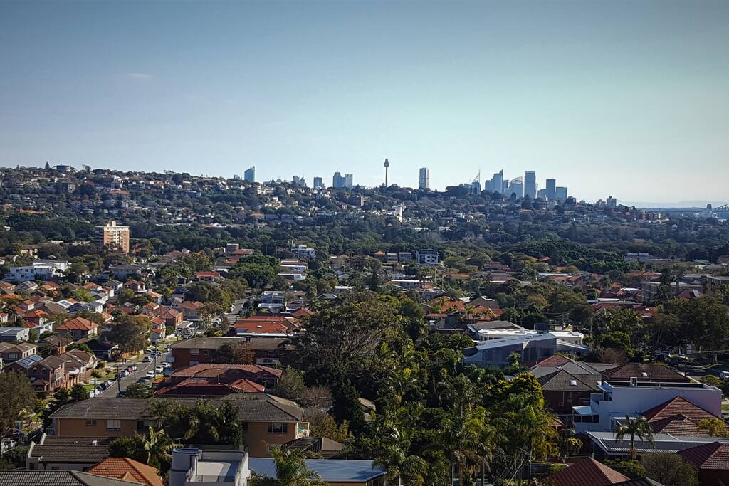 View of the City