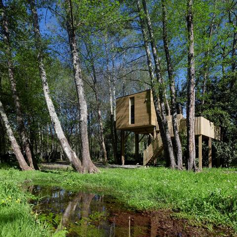 Tree house - Cabaña de Arturo