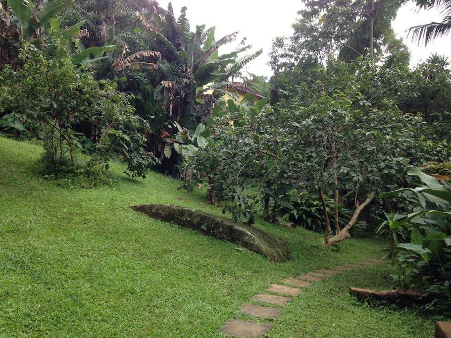 O jardim/the garden